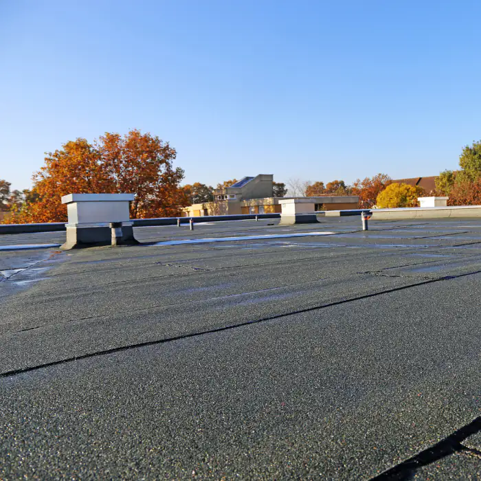 Rooftop view overlooking autumn trees and neighborhoods in Orange County, California under a clear blue sky